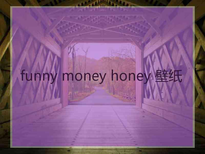 funny money honey 壁纸