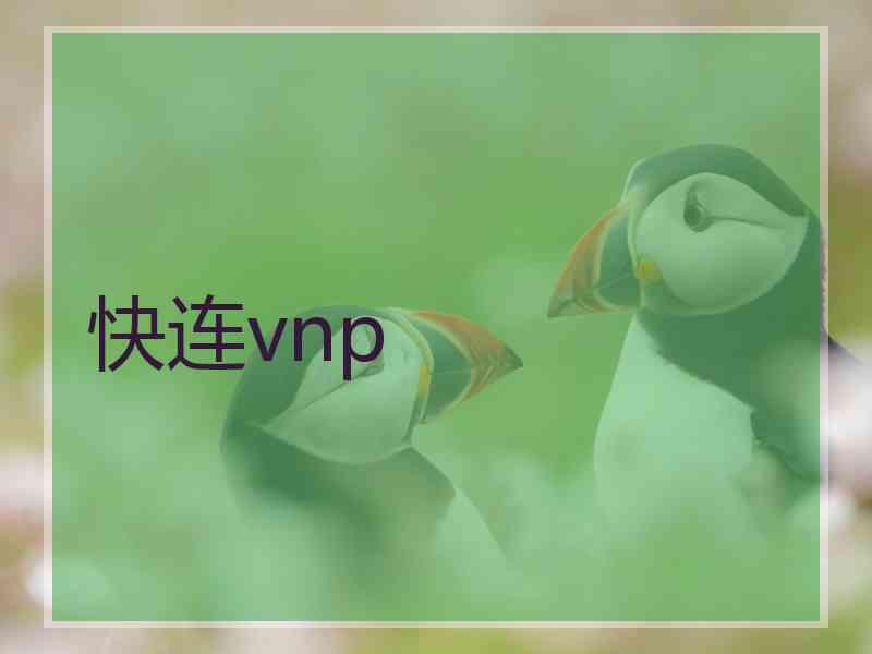 快连vnp