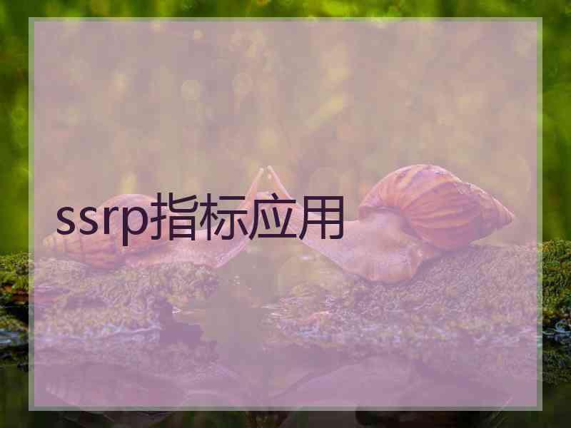 ssrp指标应用