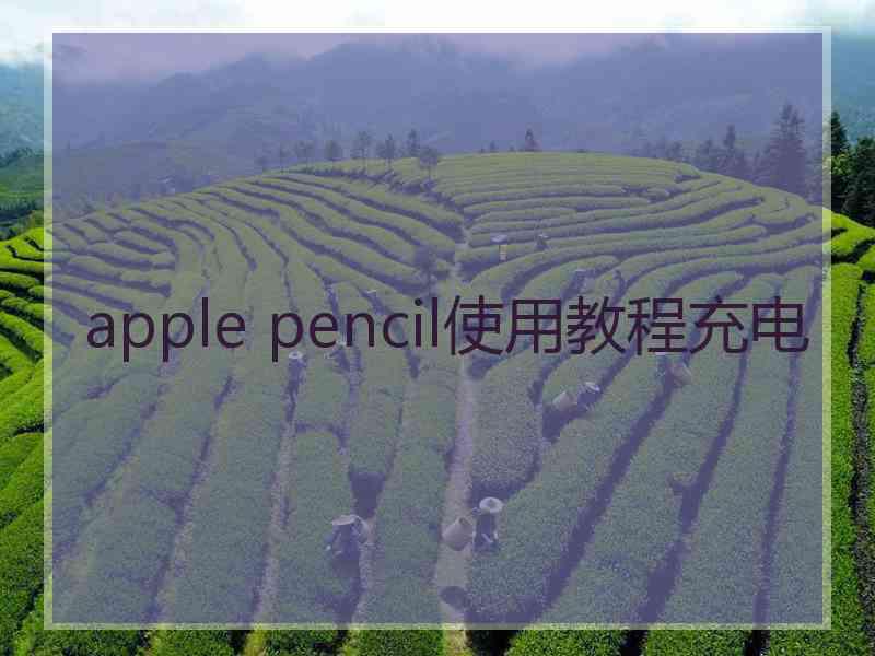 apple pencil使用教程充电