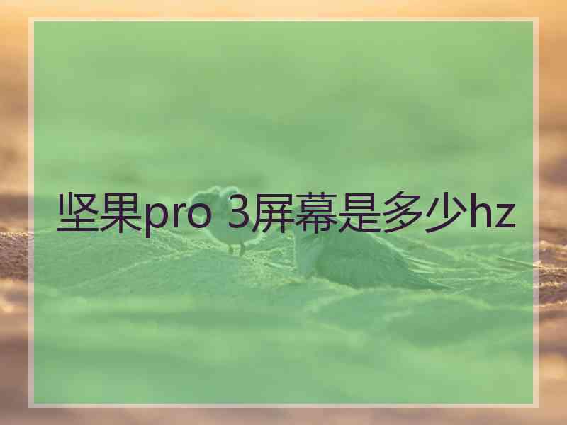 坚果pro 3屏幕是多少hz