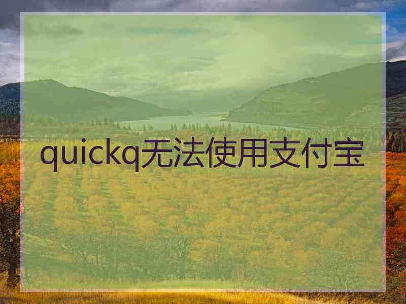 quickq无法使用支付宝