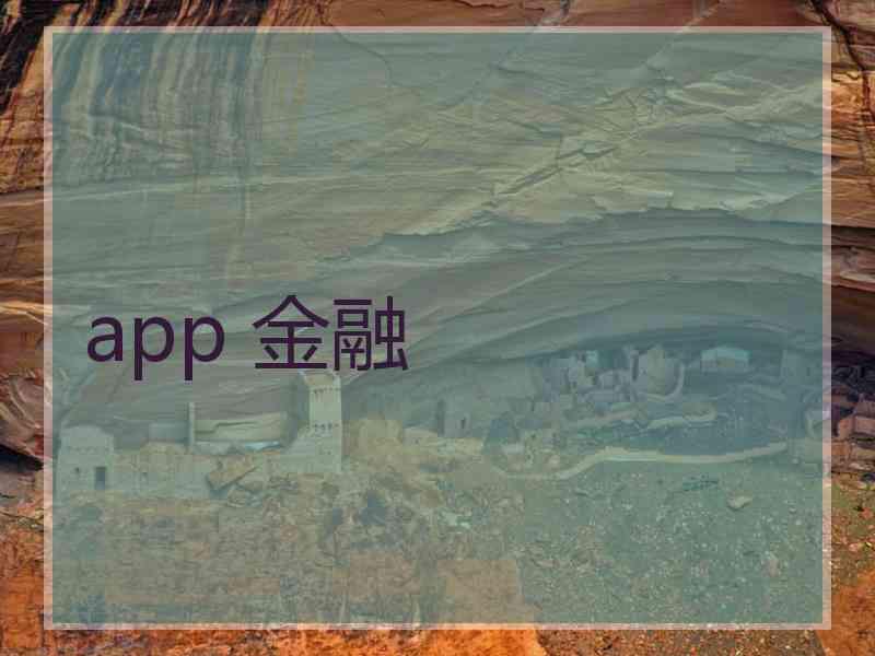 app 金融