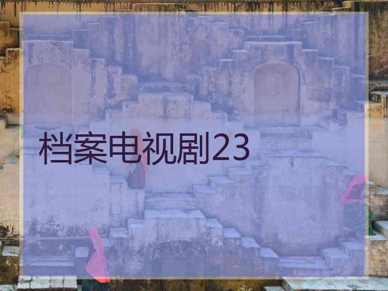 档案电视剧23