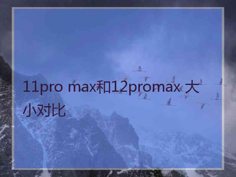 11pro max和12promax 大小对比