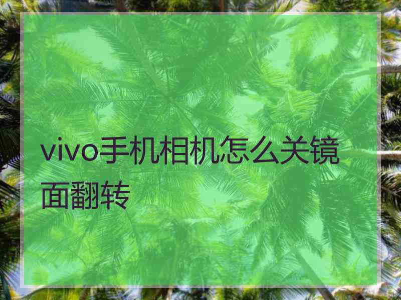 vivo手机相机怎么关镜面翻转