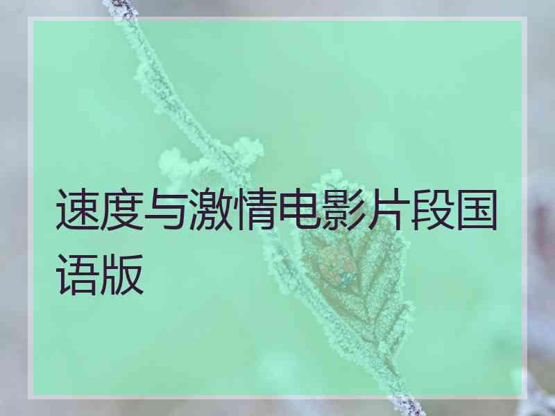 速度与激情电影片段国语版