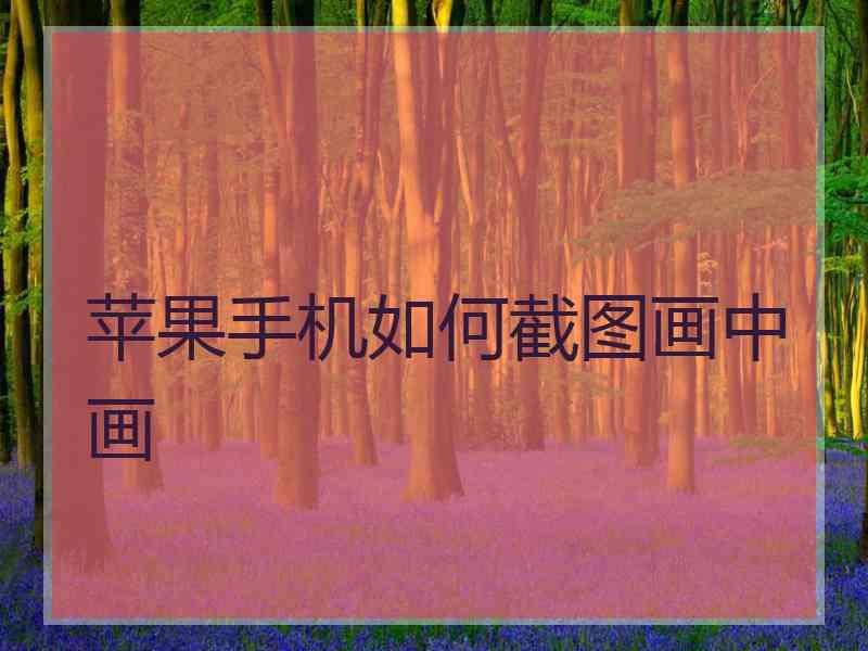 苹果手机如何截图画中画