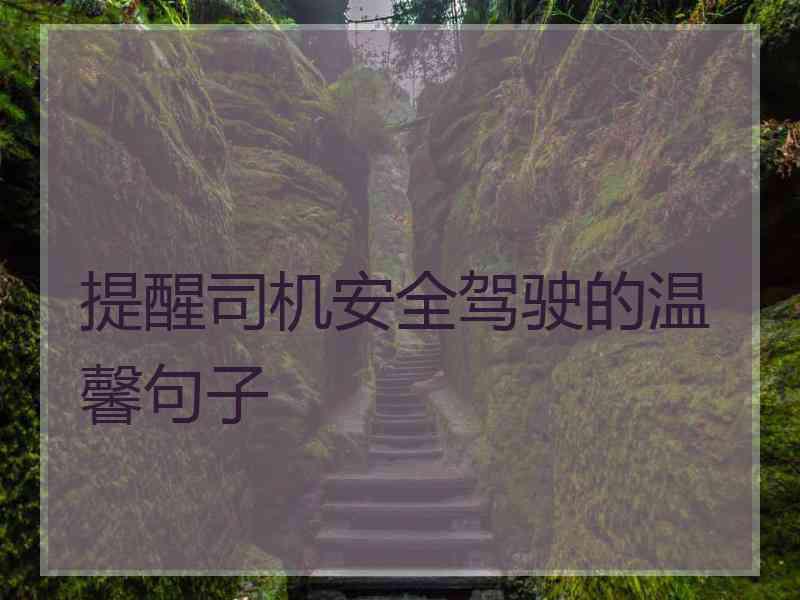 提醒司机安全驾驶的温馨句子