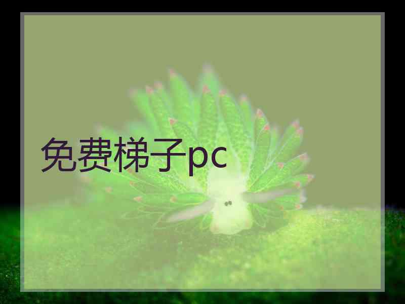 免费梯子pc