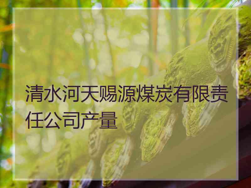 清水河天赐源煤炭有限责任公司产量