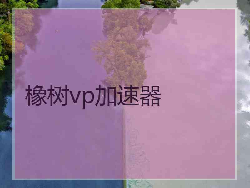 橡树vp加速器