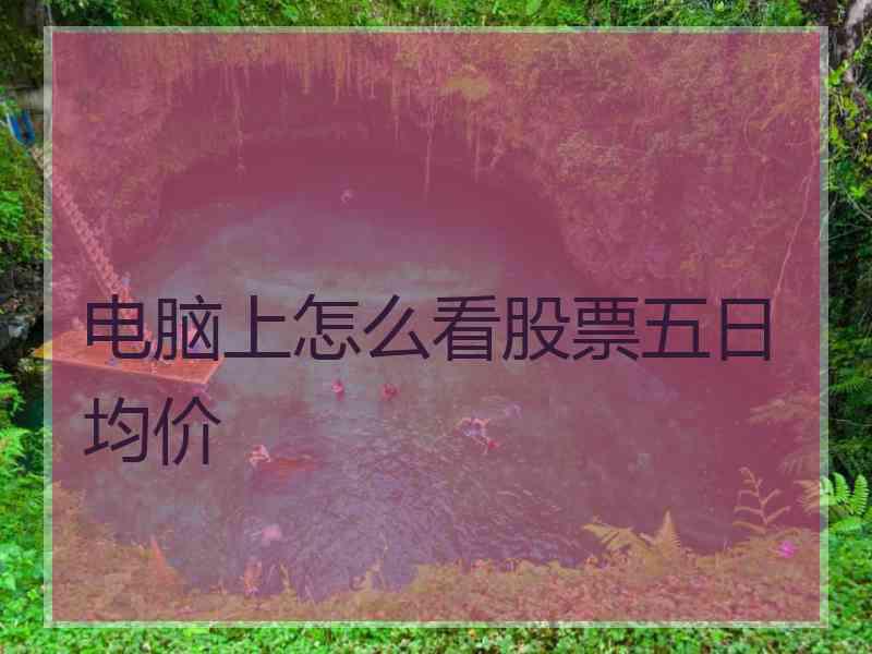 电脑上怎么看股票五日均价