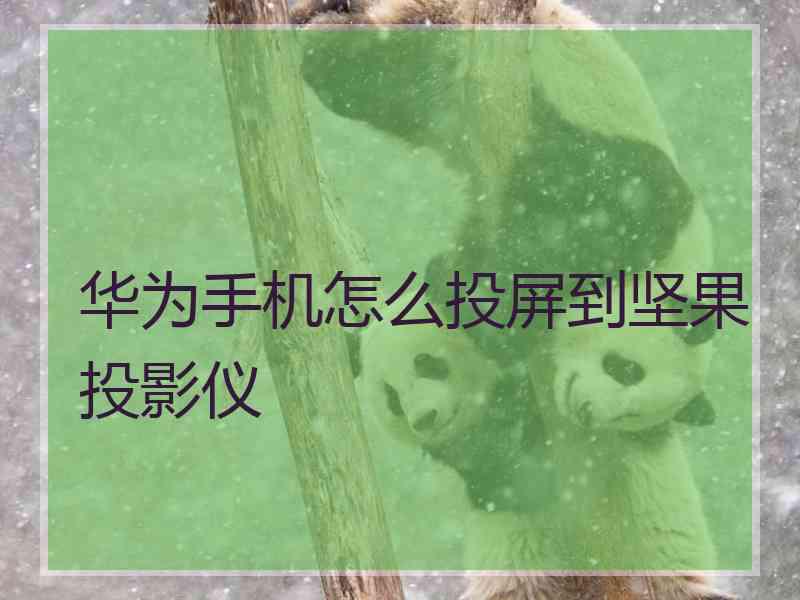 华为手机怎么投屏到坚果投影仪