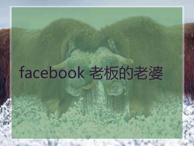 facebook 老板的老婆