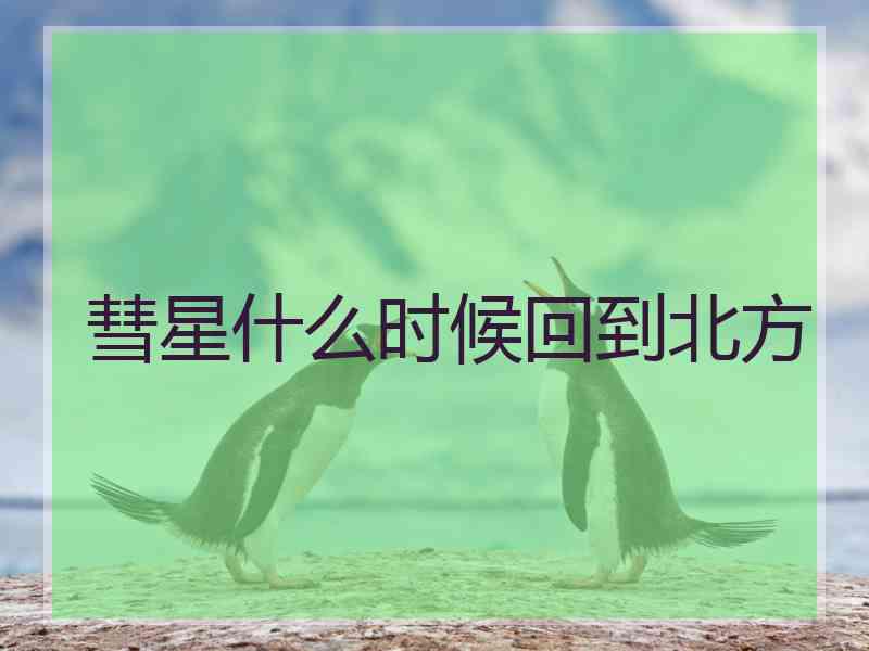 彗星什么时候回到北方