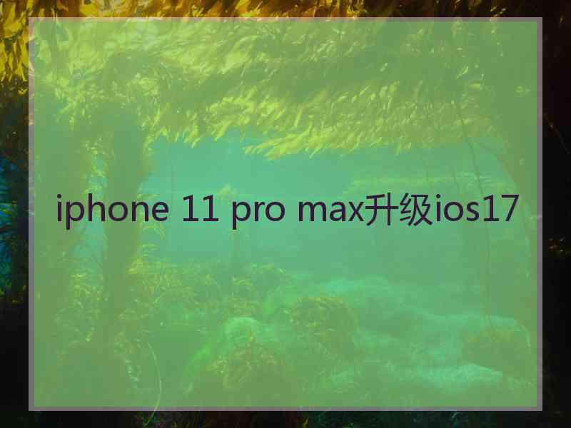 iphone 11 pro max升级ios17