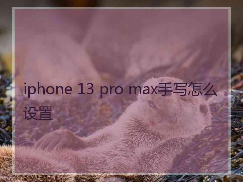 iphone 13 pro max手写怎么设置