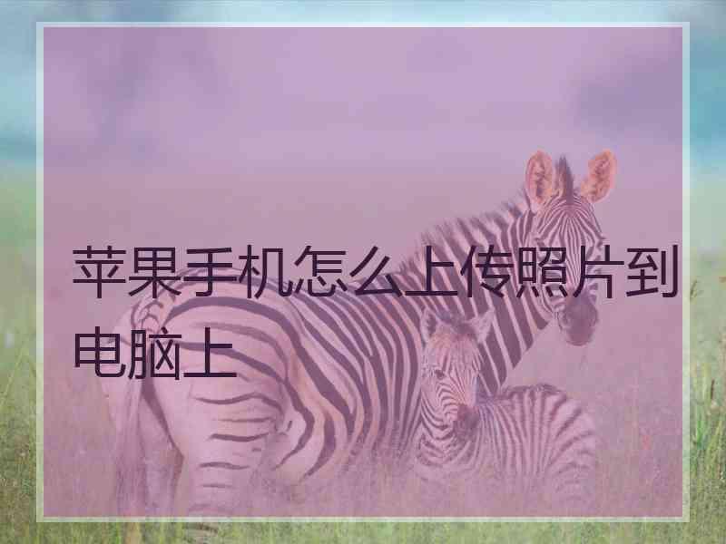 苹果手机怎么上传照片到电脑上