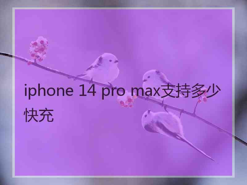 iphone 14 pro max支持多少快充