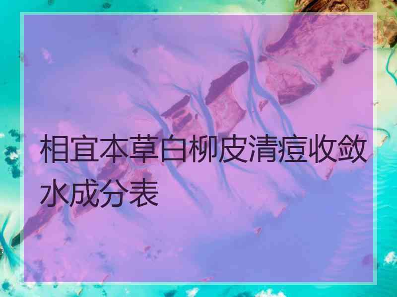 相宜本草白柳皮清痘收敛水成分表