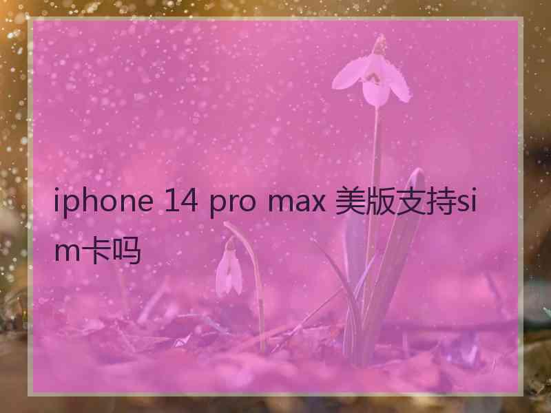 iphone 14 pro max 美版支持sim卡吗