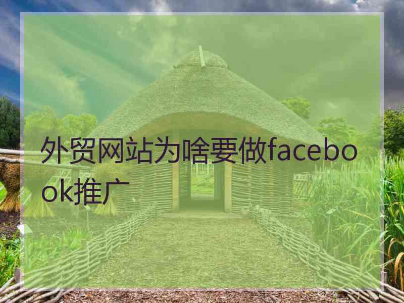 外贸网站为啥要做facebook推广