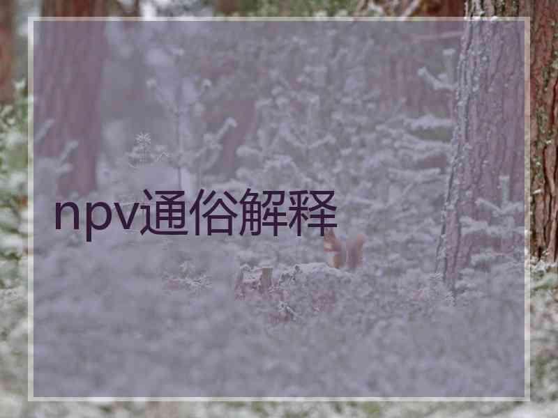 npv通俗解释