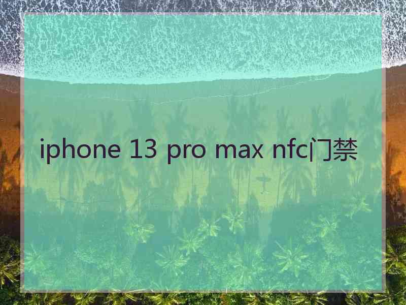 iphone 13 pro max nfc门禁