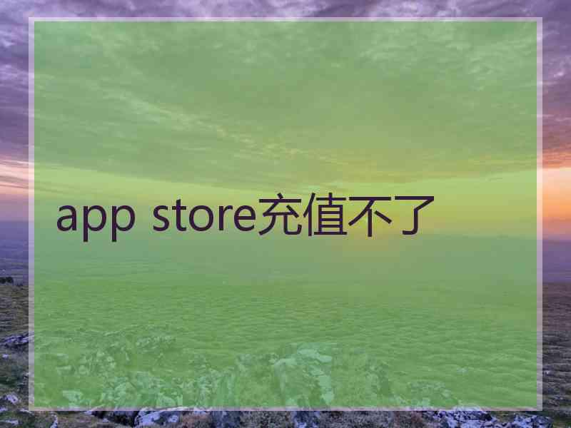 app store充值不了