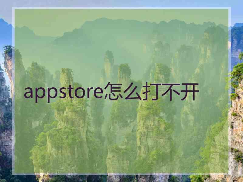 appstore怎么打不开