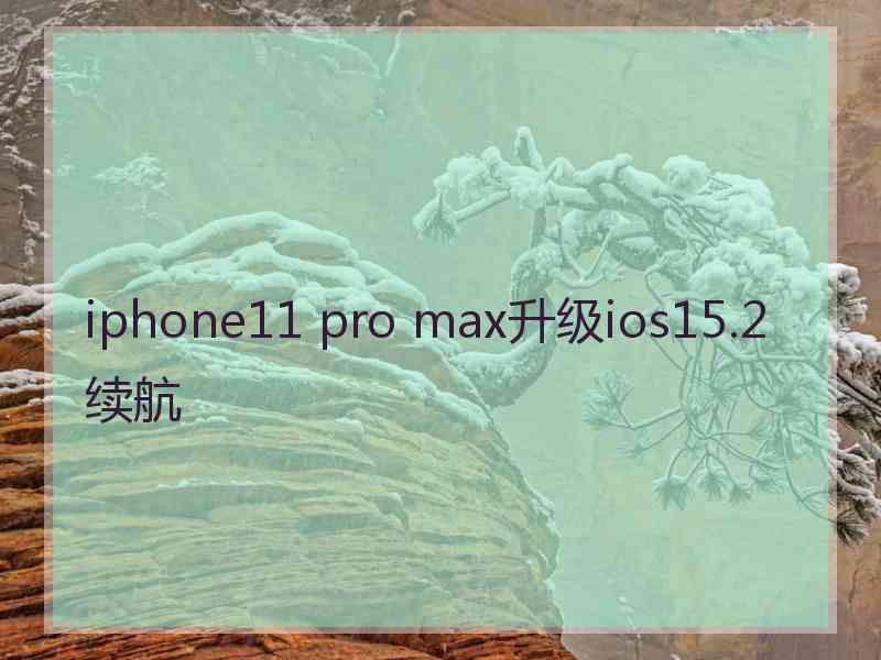 iphone11 pro max升级ios15.2续航