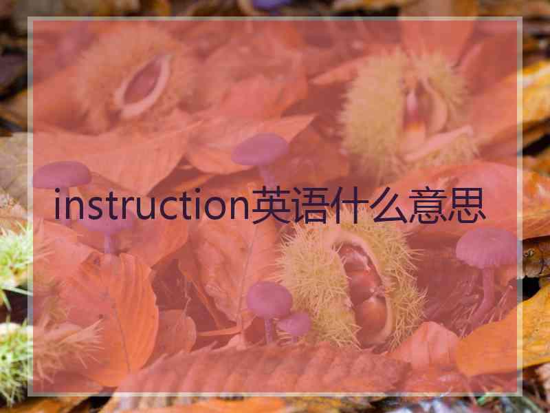 instruction英语什么意思