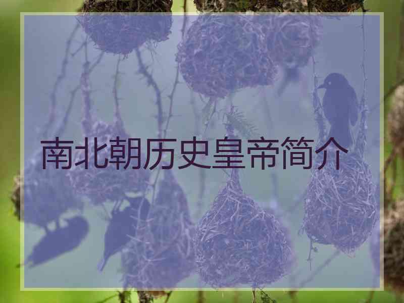 南北朝历史皇帝简介