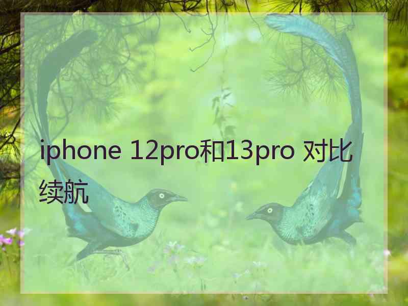 iphone 12pro和13pro 对比续航