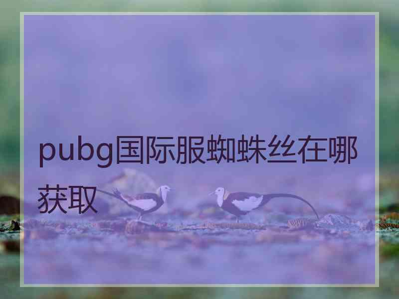 pubg国际服蜘蛛丝在哪获取