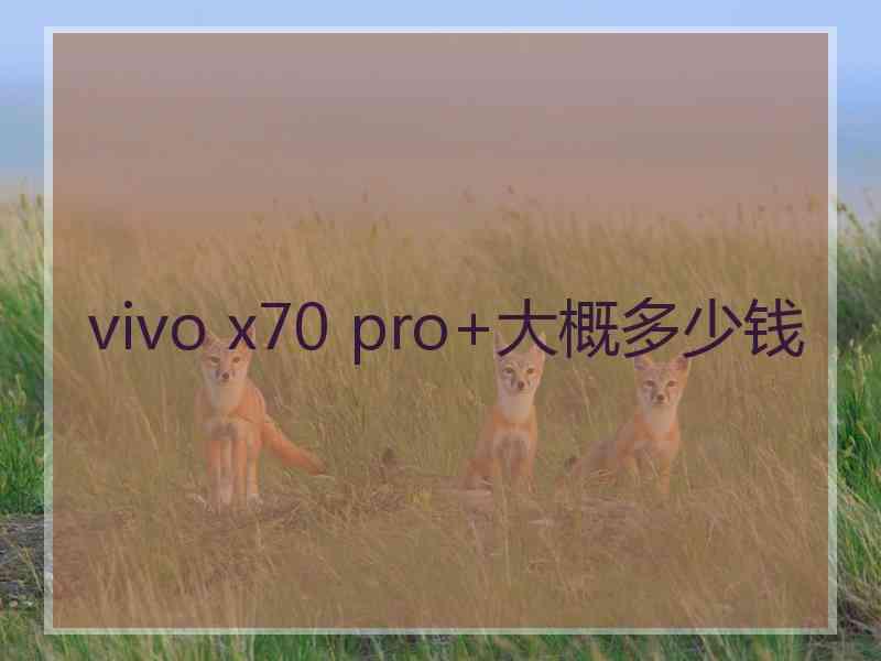 vivo x70 pro+大概多少钱