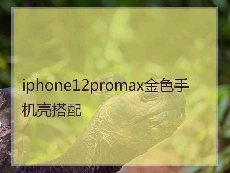 iphone12promax金色手机壳搭配