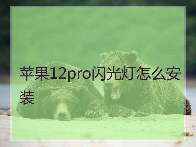 苹果12pro闪光灯怎么安装