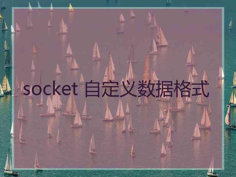 socket 自定义数据格式