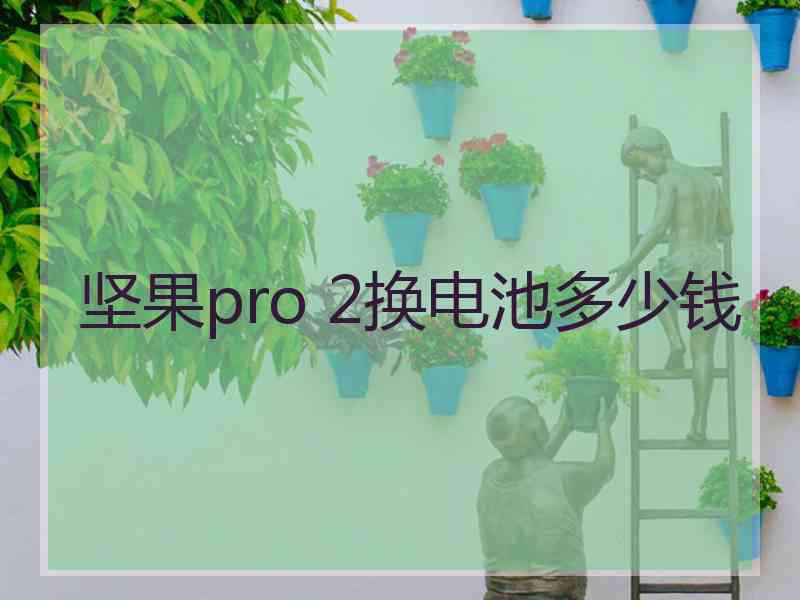 坚果pro 2换电池多少钱