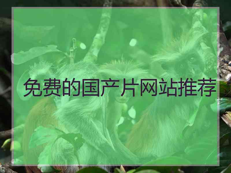 免费的国产片网站推荐