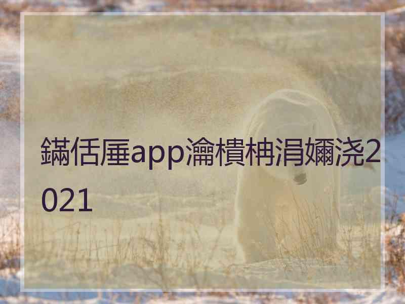 鏋佸厜app瀹樻柟涓嬭浇2021