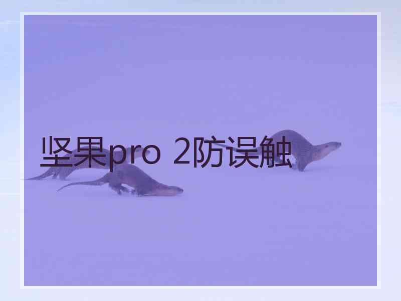 坚果pro 2防误触