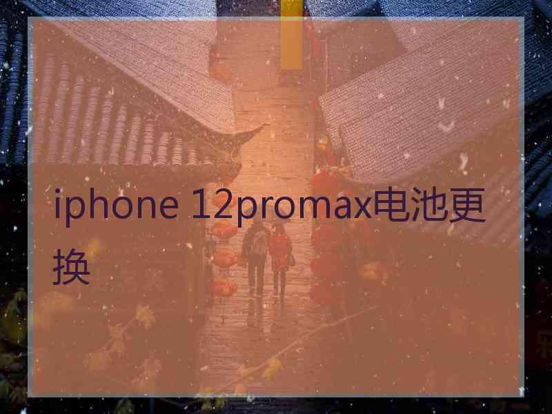 iphone 12promax电池更换