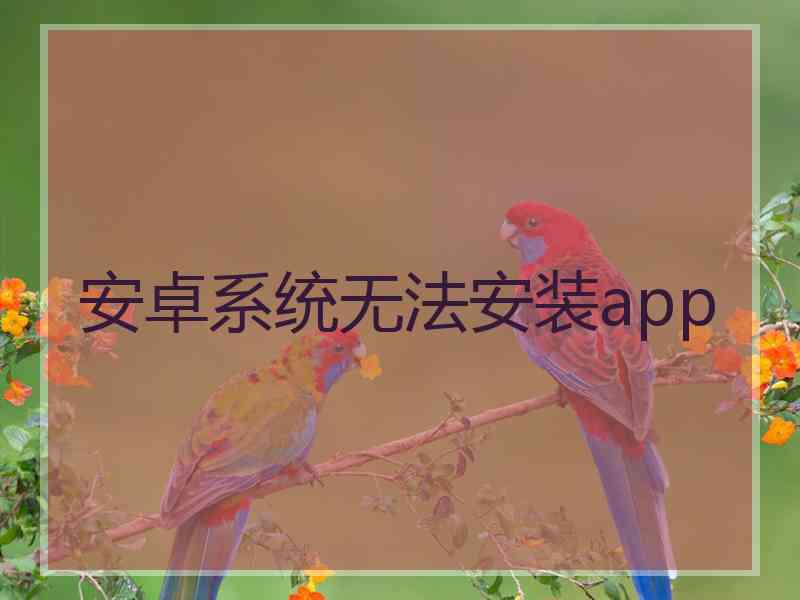 安卓系统无法安装app