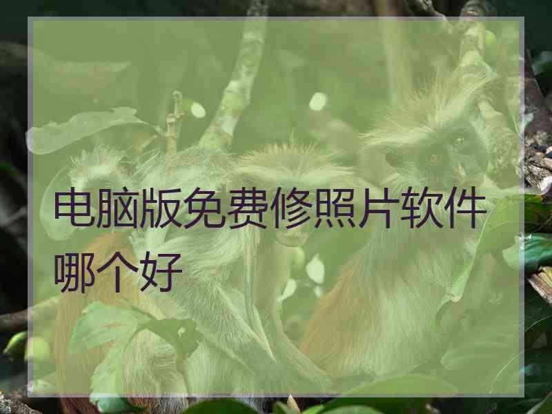 电脑版免费修照片软件哪个好