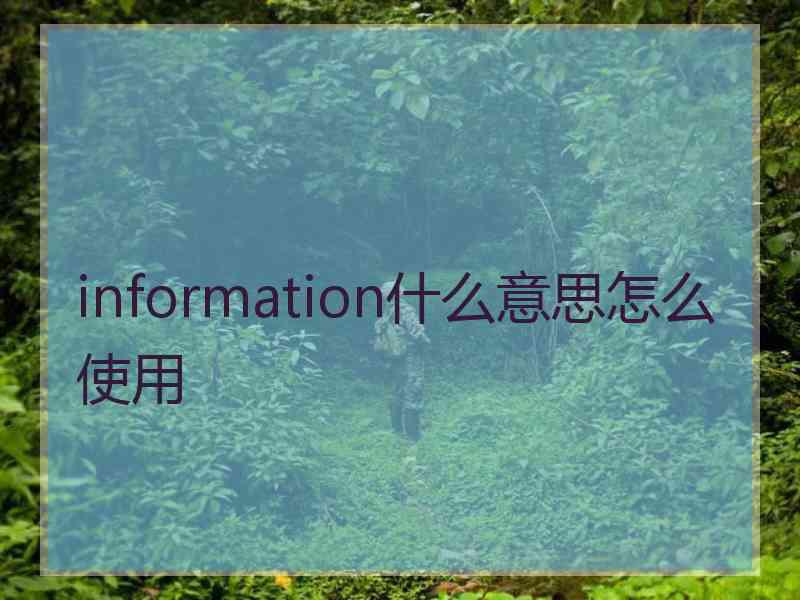 information什么意思怎么使用