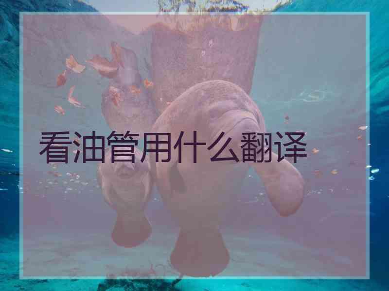 看油管用什么翻译