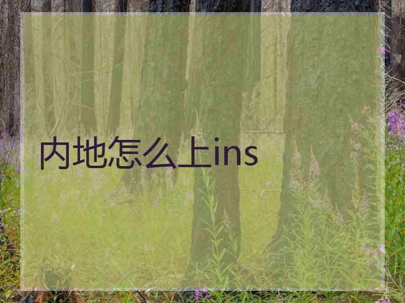 内地怎么上ins